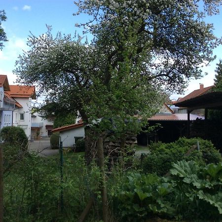 Ferienwohnung Christiane - Neue, Moderne Ferienwohnung Mit Blick Ins Gruene Ober-Abtsteinach 外观 照片