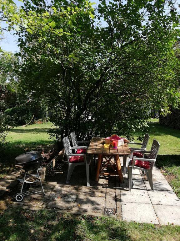 Ferienwohnung Christiane - Neue, Moderne Ferienwohnung Mit Blick Ins Gruene Ober-Abtsteinach 外观 照片